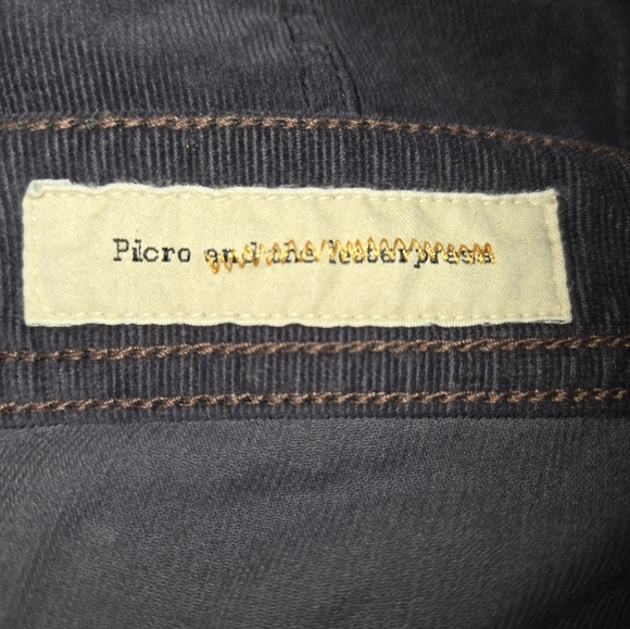 Pilcro and the Letterpress Serif Charcoal Gray Stretch Skinny Fit Cords Size 30 - Picture 10 of 14